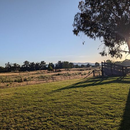 Cudgegong Valley Motel Mudgee Exterior photo