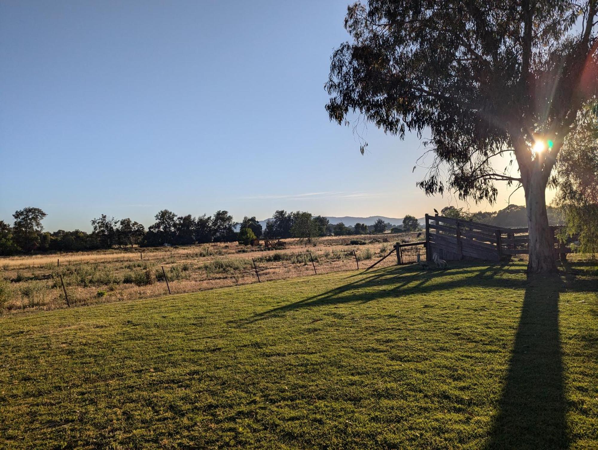 Cudgegong Valley Motel Mudgee Exterior photo