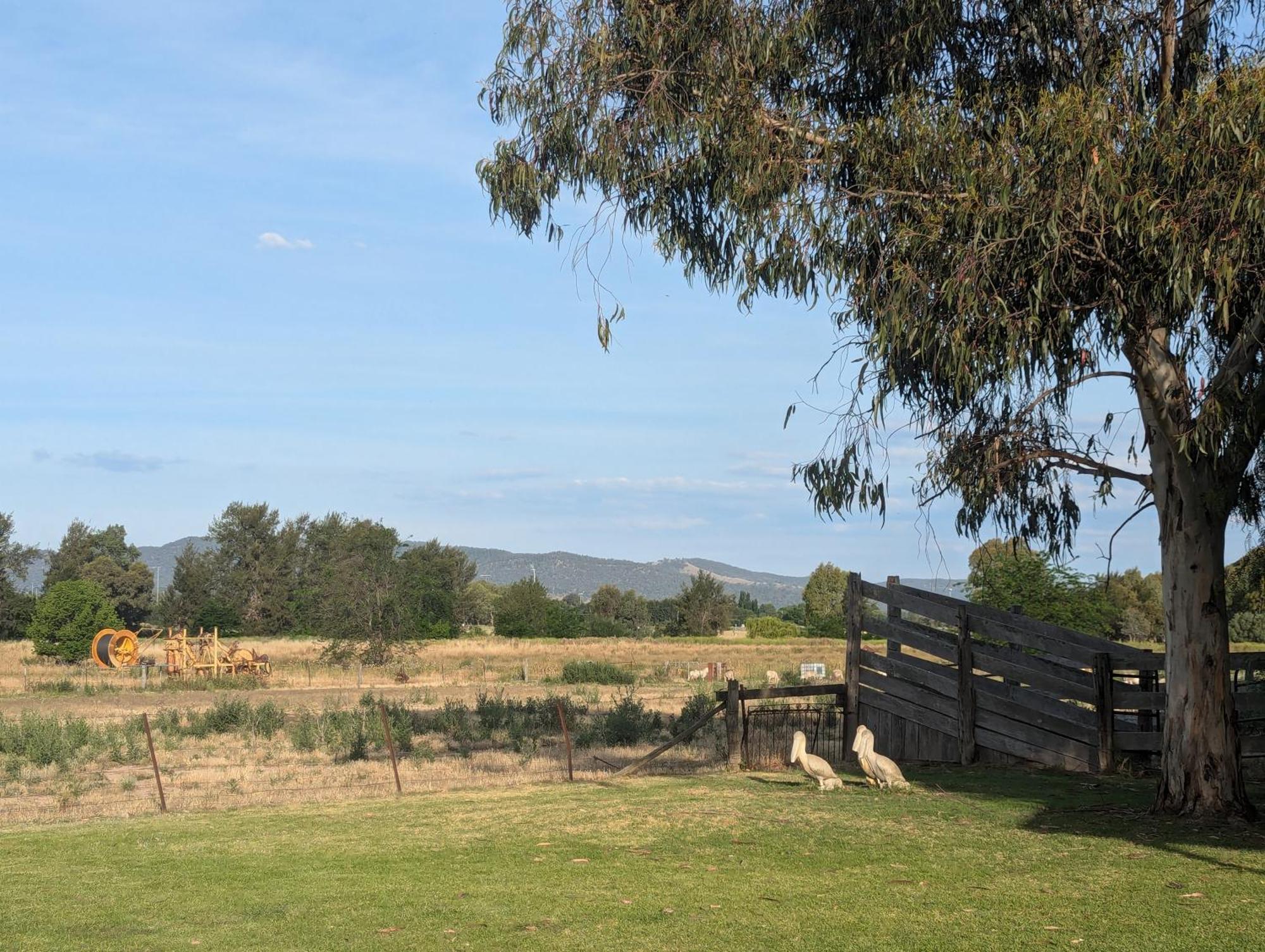 Cudgegong Valley Motel Mudgee Exterior photo