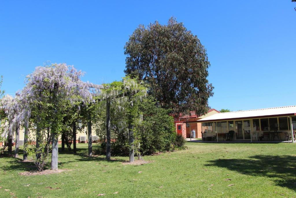 Cudgegong Valley Motel Mudgee Exterior photo