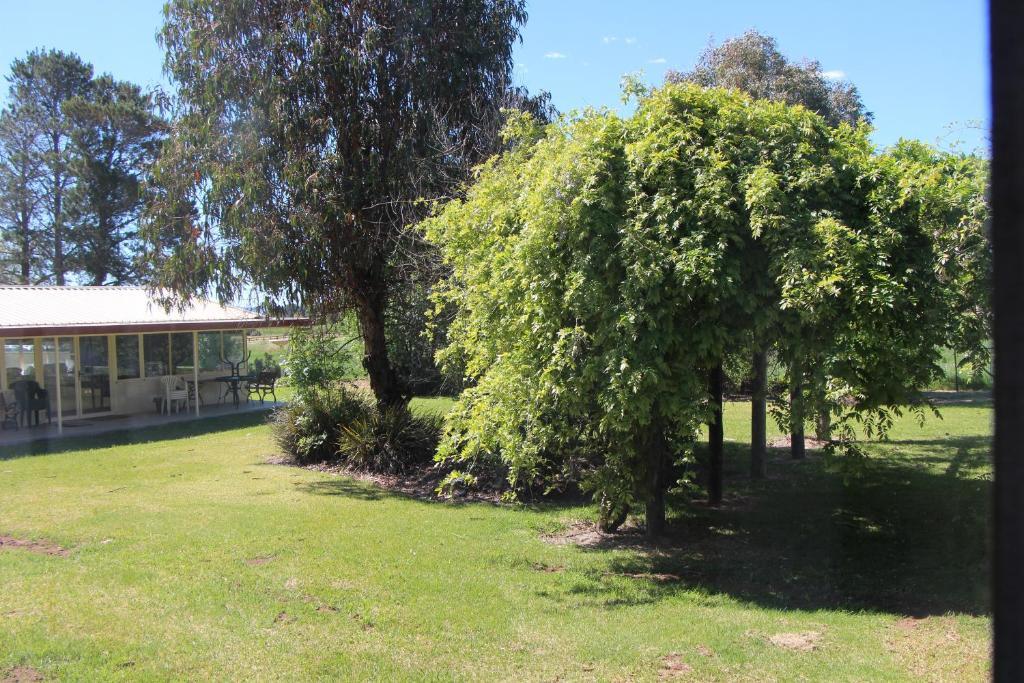 Cudgegong Valley Motel Mudgee Exterior photo